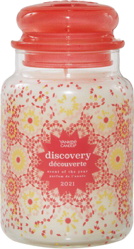 Ароматична свічка Yankee Candle Discovery Scent of the Year 623 г (5038581122366)