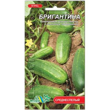 Насіння огірок Бригантина середньостиглий 1 г