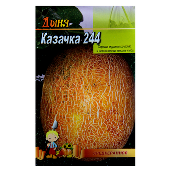 Семена Дыня Казачка 5 г среднеранняя большой пакет
