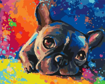 Картина по номерам BrushMe Цветной бульдог (BS28895L)