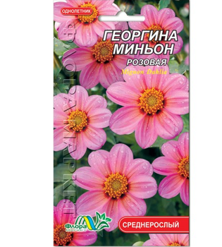 Семена Георгина миньон розовая однолетник среднерослый 0.15 г