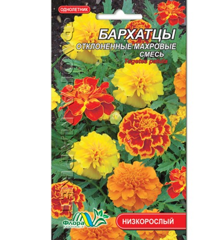 Насіння Чорнобривці відхилені махрові суміш різні кольори однорічник низькорослий 0.1 г
