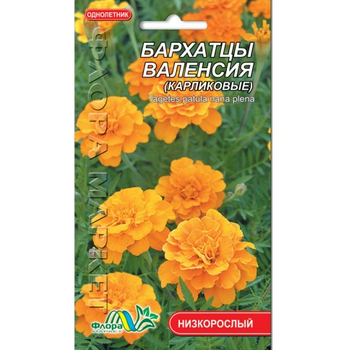 Семена Бархатцы Валенсия карликовые оранжевый однолетник низкорослый 0.25 г