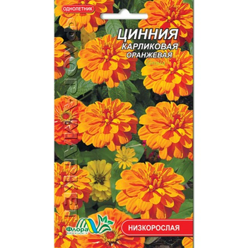 Семена Цинния карликовая оранжевая однолетник низкорослый 0.2 г