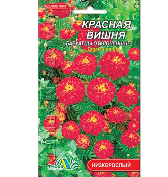 Насіння Чорнобривці відхилені Червона вишня однорічник низькорослий 0.1 г