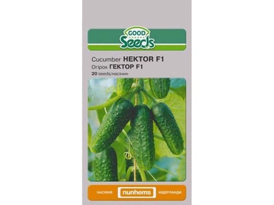 Огірок GOOD SEEDS (10 пачок) ГЕКТОР F1 [20 насінин]