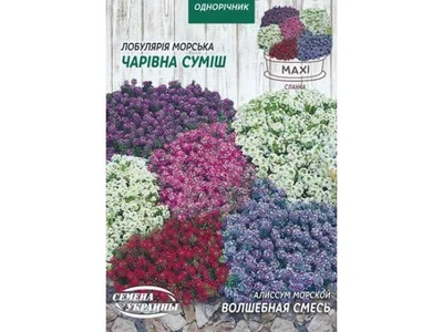 Аліссум СЕМЕНА УКРАИНЫ (10 пачок) Максі морський "ВОЛШЕБНАЯ СМЕСЬ" 2г