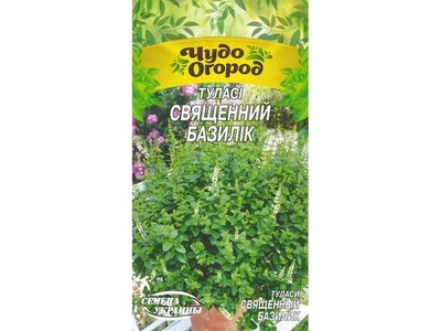 Туласі СЕМЕНА УКРАИНЫ (10 пачок) "СВЯЩЕННИЙ БАЗИЛІК " ЧудО 0,1г