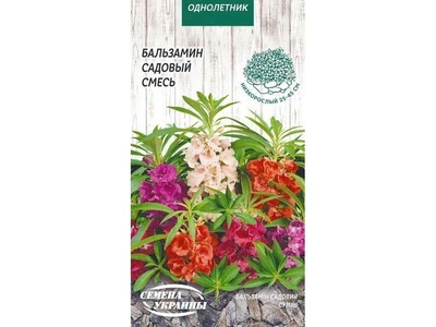 Бальзамін СЕМЕНА УКРАИНЫ (10 пачок) садовий (суміш) ОД 0,5г