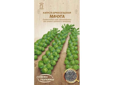 Капуста СЕМЕНА УКРАИНЫ (20 пачок) брюссельська "МАЧУГА" 0,5г (пс)