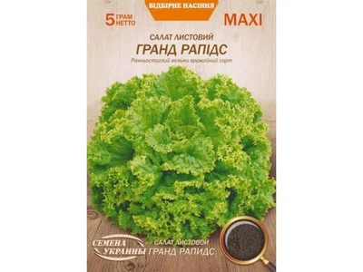 Салат листовий СЕМЕНА УКРАИНЫ (10 пачок) Максі "ГРАНД РАПИДС" 5г (рс)