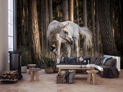 Флизелиновые 3D фотообои деревья Белая лошадь в лесу (13599V)+клей
