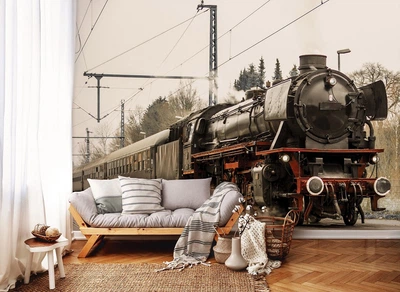 Флизелиновые фотообои 3д поезд 460x300 см Черный паровоз в пути (11388V12) +клей