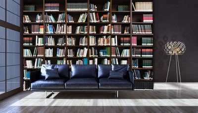 Флізелінові фотошпалери книжкова шафа книги на полиці (12170V)+клей