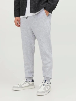 Спортивні штани чоловічі Jack & Jones 12249274 XL Сірі (5715434006683)