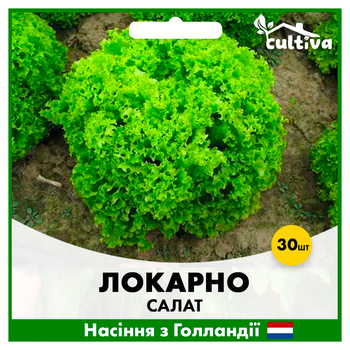 Голландские Семена Rijk Zwaan Салат Локарно, тип Лолло Биондо, 30 шт