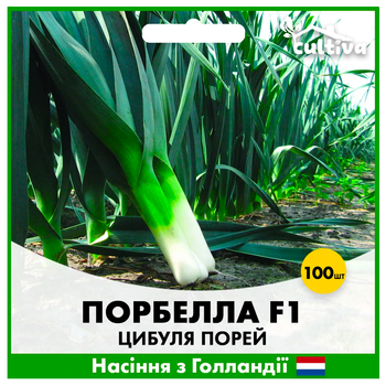 Голландське насіння Hazera Цибуля порей Порбелла 100 шт