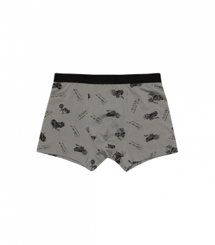 Мужские трусы боксеры с рисунком - Donella - 711335 - M - Светло-коричневый