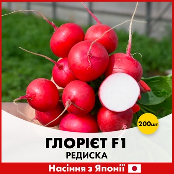 Японське насіння Sakata Редис Глорієт F1 200 шт