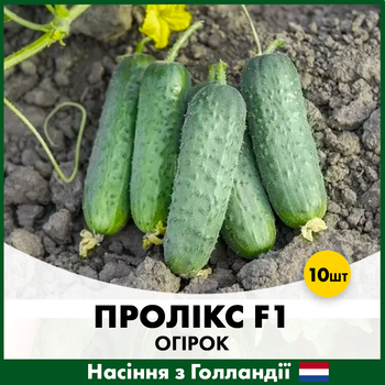 Голландские семена Nunhems Огурец Проликс F1 10 шт