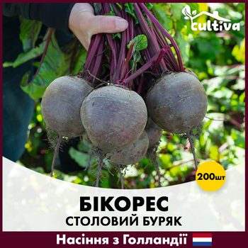 Голландське Насіння Bejo Столовий буряк Бікорес, 200 шт