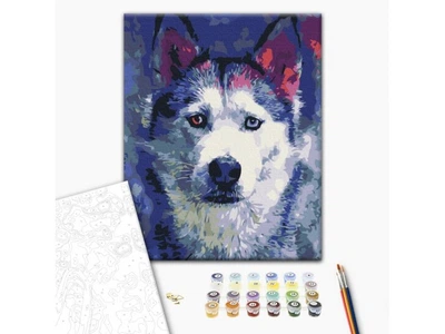Картина за номерами Погляд Хаскі, Brushme (30х40 см), RBS51460