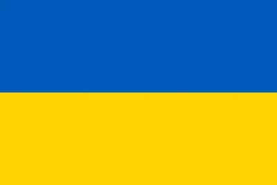 Флаг Украины без вышивки 100х65