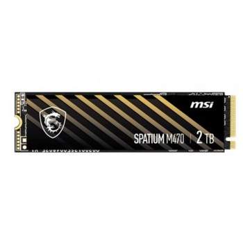 MSI Spatium M470 2TB (S78-440Q470-P83)