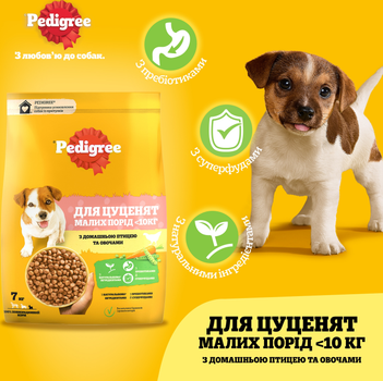 Pedigree puppy cheap 10kg price