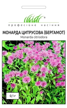 Монарда цитрусовая (Бергамот) Профессиональные семена 0,1 г