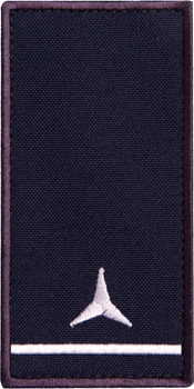 Шеврон нашивка на липучке IDEIA погон звания ДСНС Старший сержант, вышитый патч 5х10 см (2200004303857)