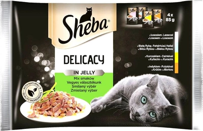 Вологий корм для котів ShebaDelicacy Jelly мікс смаків 4 х 85 г (4770608257132)
