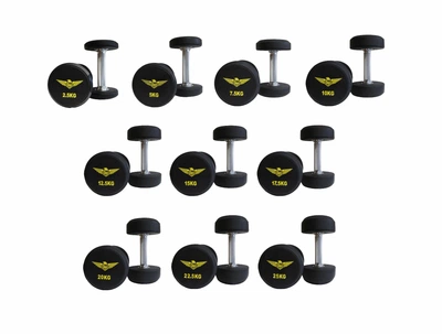 Уретановый гантельный ряд Fitnessport FDS-21 2,5-25kg (10 пар) 275 кг