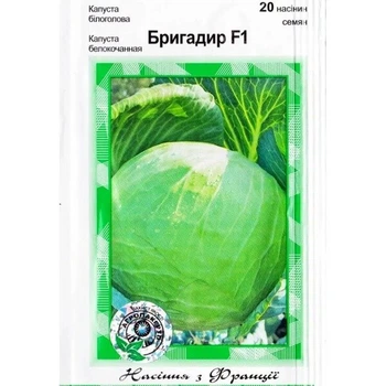 Капуста Бригадир F1 - 20 сем. А. (Clause ).