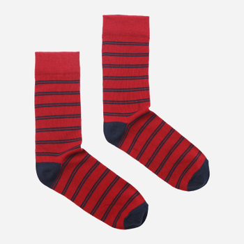 Шкарпетки бавовняні чоловічі Tatuum Franco AW22 4 T2299.871 43-46 Темно-червоні (5900142200458)