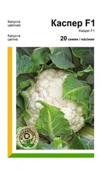 Капуста цвітна Каспер F1 20 нас, А. Rijk Zwaan.