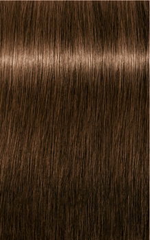 Trwała farba do włosów Schwarzkopf Igora Royal Absolutes 5 - 50 Light Brown Gold Natural 60 ml (4045787278729 / 7702045548853)