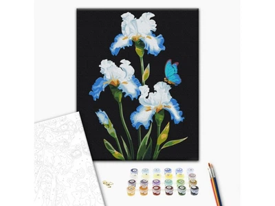 Картина по номерам Ирисы ©Anna Steshenko, Brushme (40х50 см), BS53915