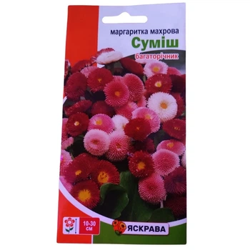 Насіння Маргаритка махрова Яскрава суміш 0,1г багаторічник