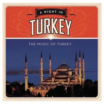 Музыкальный CD диск Various - A Night In Turkey лицензионный