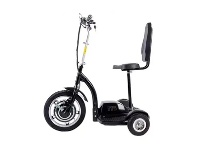 Электросамокат с сиденьем (сиденье - спинка) TTG T06-1 36V350W 12AH - SM 12AH Черный
