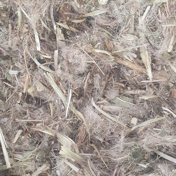 Артишок справжній трава сушена 100 г