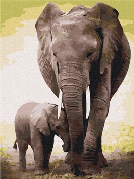 Картина по номерам BrushMe "Первые дни слоненка" 30х40см RBS52150