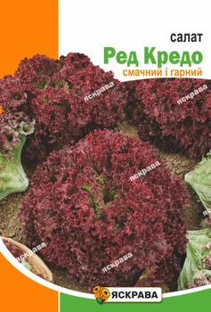 Семена Яскрава Салат Ред Кредо 5 г (59185)