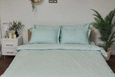 Комплект постільної білизни Moon&Star євро 200х220 наволочки 2х50х70 Stripe Mint Satin Stripe (MS-820000626)
