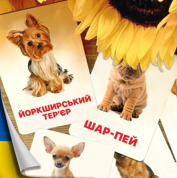 Карточки Домана ''Породы собак'' на украинском языке, в наборе 32 карточек