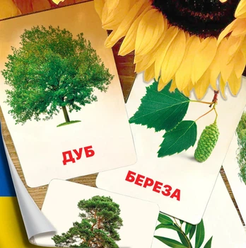 Картки Домана ''Листя та дерева'' українською мовою, у наборі 24 карток