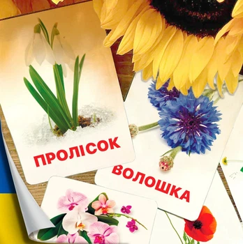 Картки Домана ''Квіти'' українською мовою, у наборі 24 карток