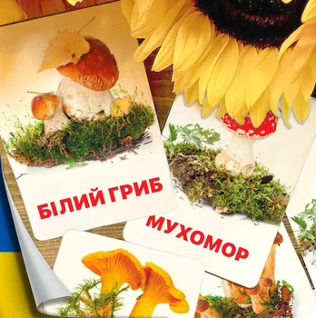 Картки Домана ''Гриби'' українською мовою, у наборі 15 карток