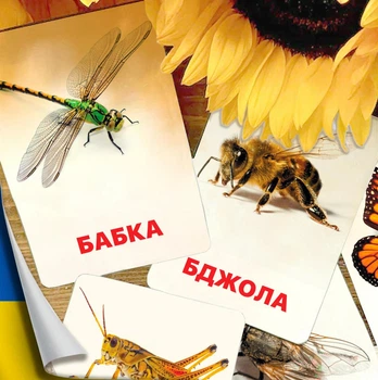 Карточки Домана ''Насекомые'' на украинском языке, в наборе 16 карточек